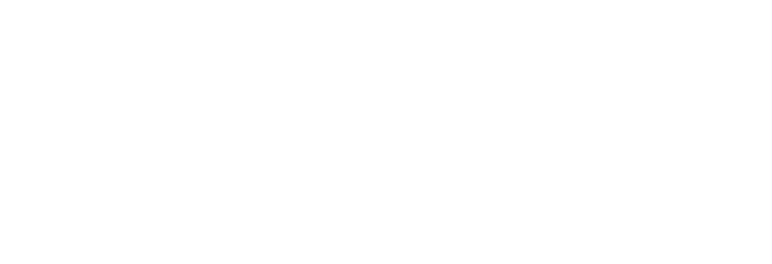 Nathan Levin